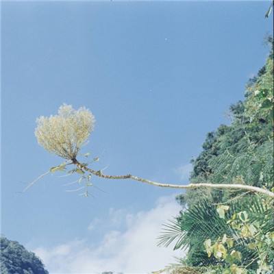 数码宝贝新秩序破解版下载