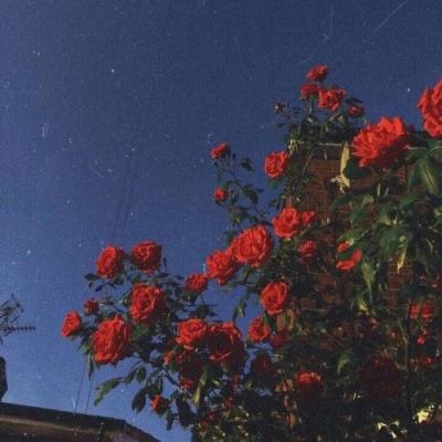 幻灵魔塔手游下载